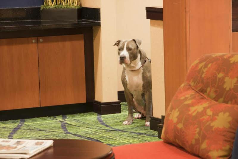 Fairfield Inn & Suites By Marriott Texarkana Esterno foto